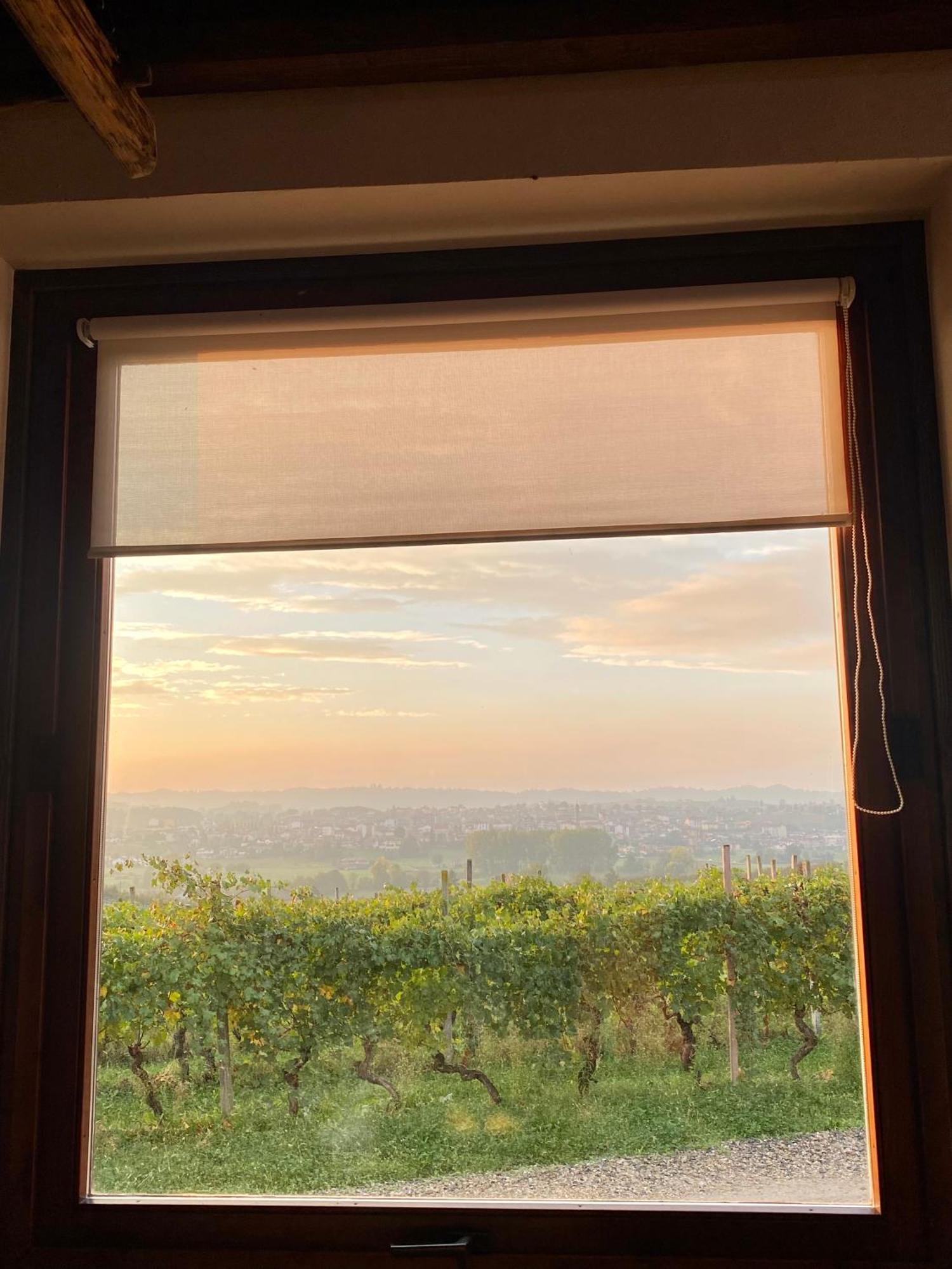 Tenuta Agricola La Cava- Cantina E Agriturismo San Damiano dʼAsti エクステリア 写真