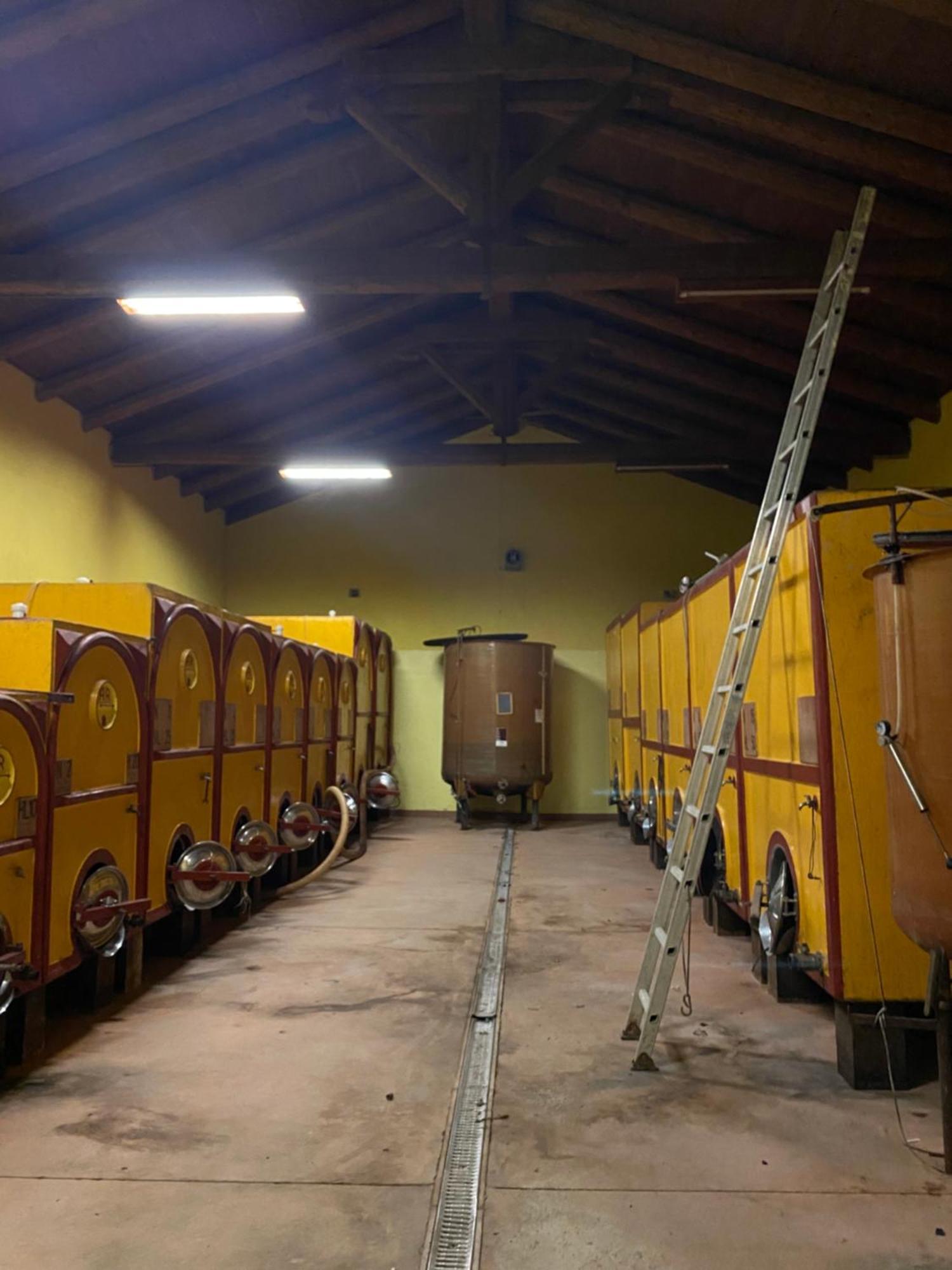 Tenuta Agricola La Cava- Cantina E Agriturismo San Damiano dʼAsti エクステリア 写真