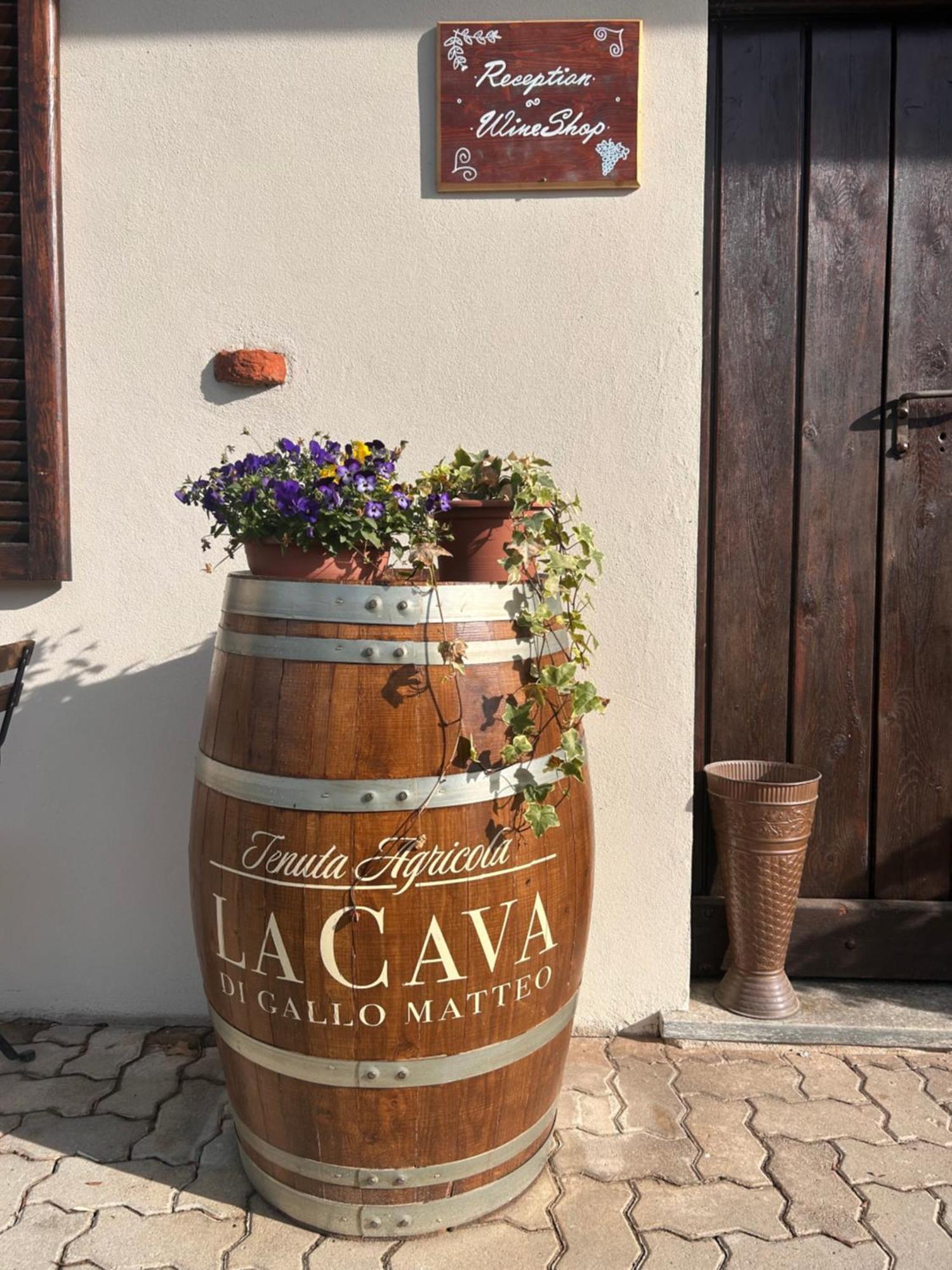 Tenuta Agricola La Cava- Cantina E Agriturismo San Damiano dʼAsti エクステリア 写真