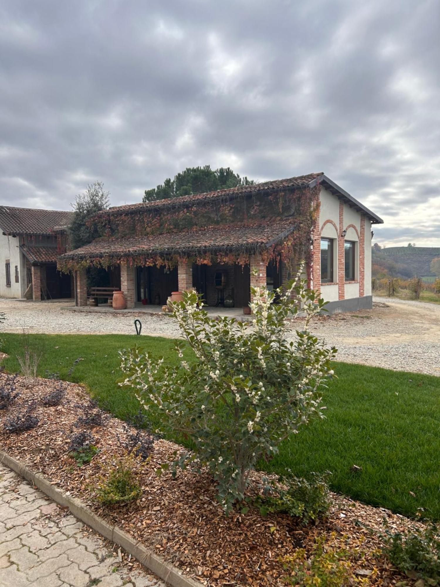 Tenuta Agricola La Cava- Cantina E Agriturismo San Damiano dʼAsti エクステリア 写真